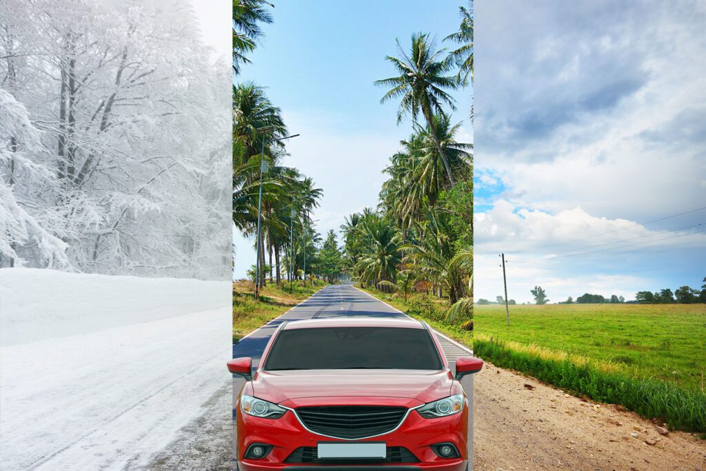 Salt Shield for winter, coast and dirt