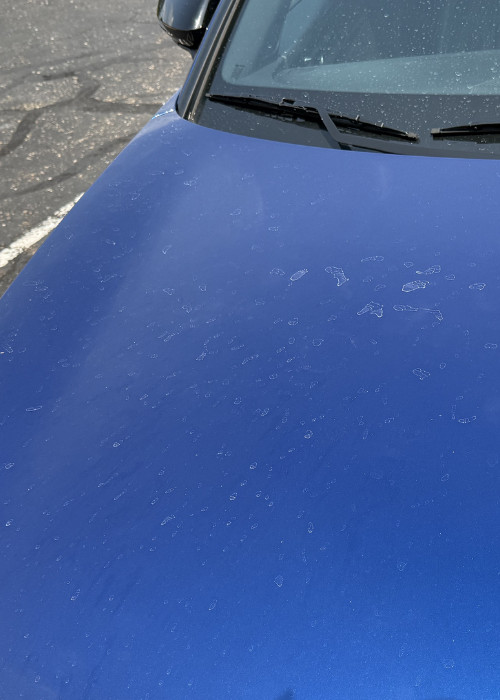 VANISH_Before
